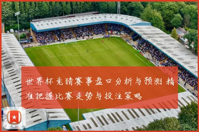 世界杯竞猜赛事盘口分析与预测 精准把握比赛走势与投注策略