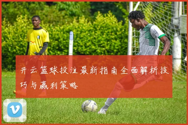 开云篮球投注最新指南全面解析技巧与赢利策略