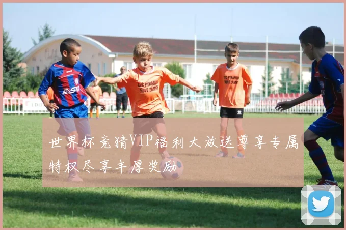 世界杯竞猜VIP福利大放送尊享专属特权尽享丰厚奖励