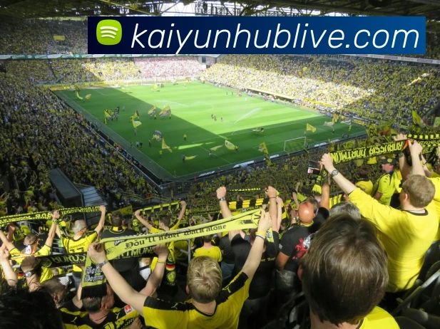 开云平台展示图